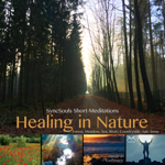 Healing in Nature - SyncSouls Short-Meditations