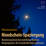 Mondschein-Spaziergang - Wanderung durch den n�chtlichen Wald ins Morgengrauen