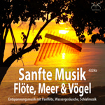 Sanfte Musik Fl�te, Meer und V�gel